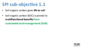 Refined guidance for implementation of land degradation neutrality, under objective 1 (ICCD/COP(14)/CST/2)