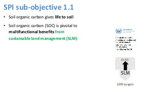 Refined guidance for implementation of land degradation neutrality, under objective 1 (ICCD/COP(14)/CST/2)