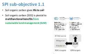 Refined guidance for implementation of land degradation neutrality, under objective 1 (ICCD/COP(14)/CST/2)