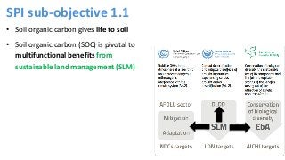 Refined guidance for implementation of land degradation neutrality, under objective 1 (ICCD/COP(14)/CST/2)