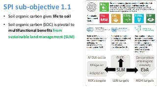 Refined guidance for implementation of land degradation neutrality, under objective 1 (ICCD/COP(14)/CST/2)