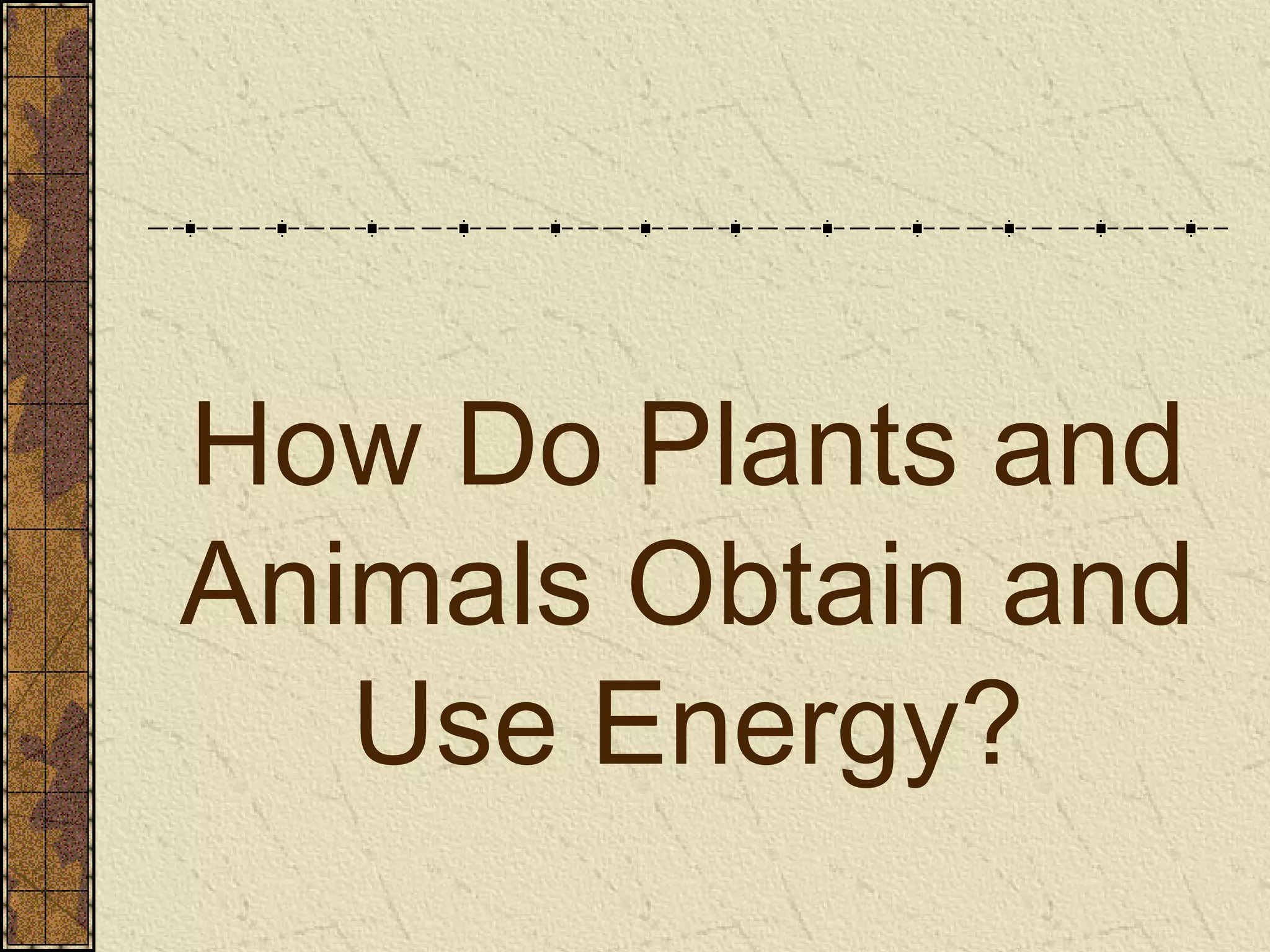 Obj 1&2 compare ways plants and animals use energy and how they are