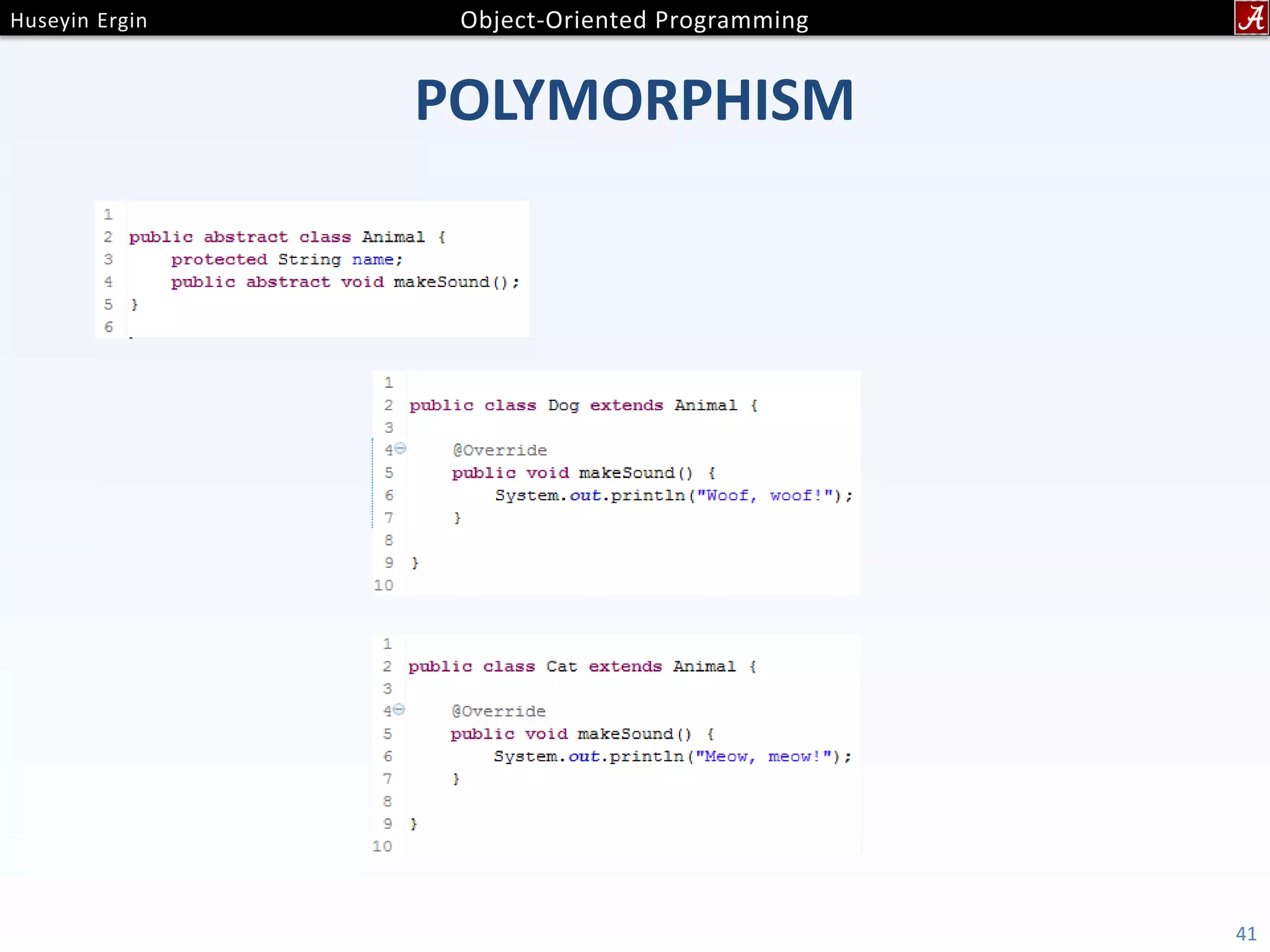 POLYMORPHISM 41 