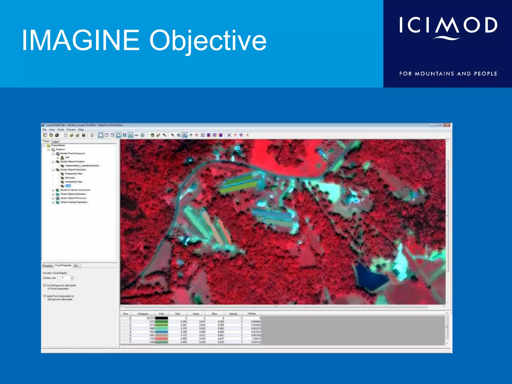 IMAGINE Objective
 