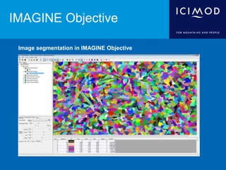 IMAGINE Objective
Image segmentation in IMAGINE Objective
 