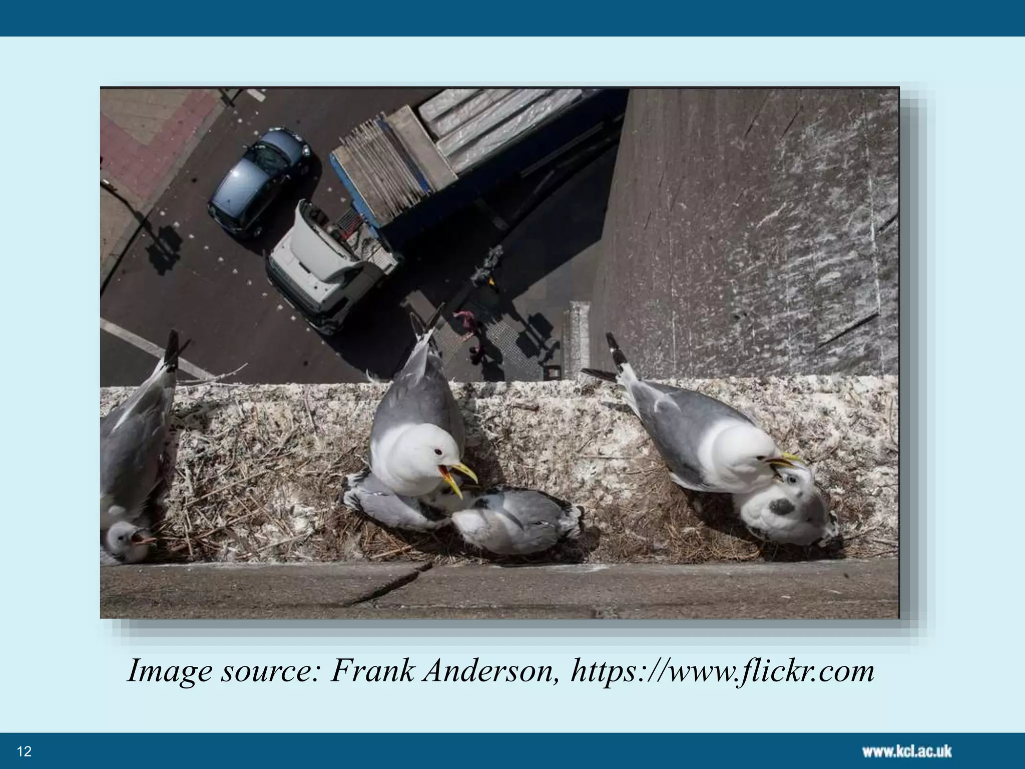 12
Image source: Frank Anderson, https://www.flickr.com
 