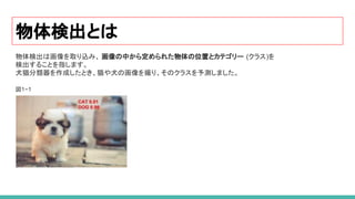物体検出とは
物体検出は画像を取り込み、 画像の中から定められた物体の位置とカテゴリー (クラス)を
検出することを指します。
犬猫分類器を作成したとき、猫や犬の画像を撮り、そのクラスを予測しました。
図1−1
 