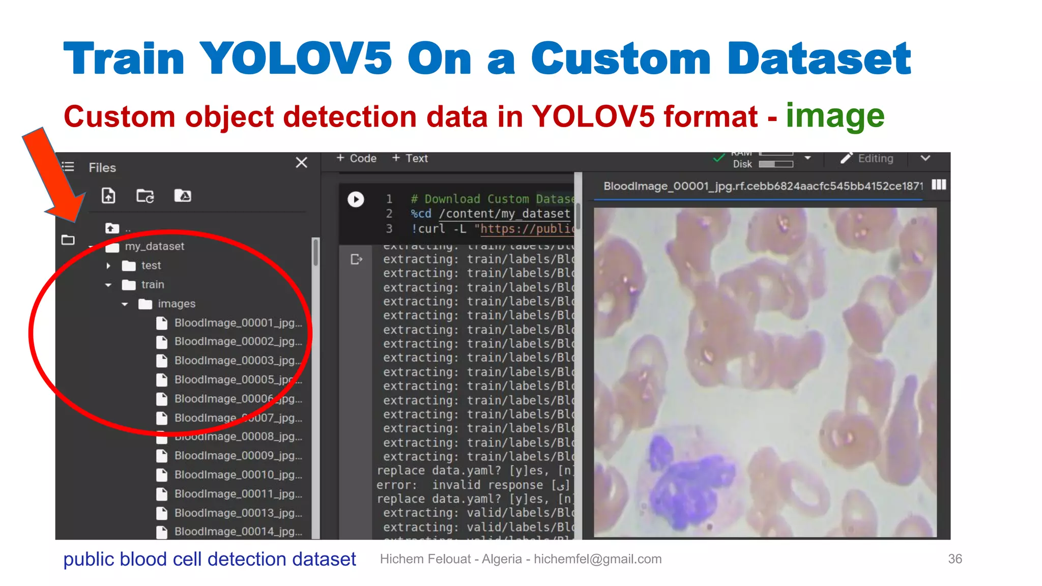 Hichem Felouat - Algeria - hichemfel@gmail.com 36 Custom object detection data in YOLOV5 format - image public blood cell detection dataset Train YOLOV5 On a Custom Dataset 