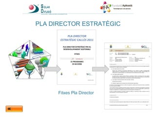 PLA DIRECTOR ESTRATÈGIC Fitxes Pla Director 