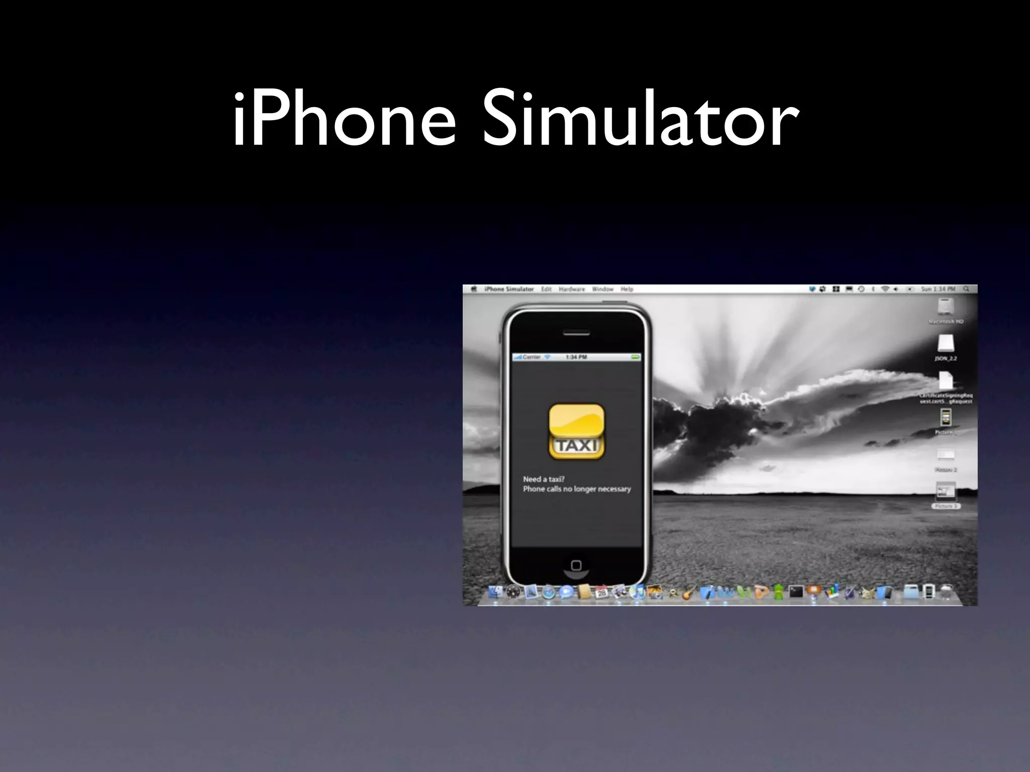 iPhone Simulator
 