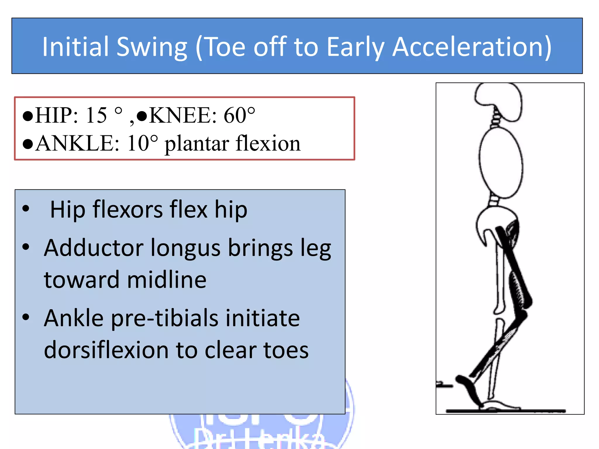 Kinetics and Kinematics Paramters in Gait | PDF