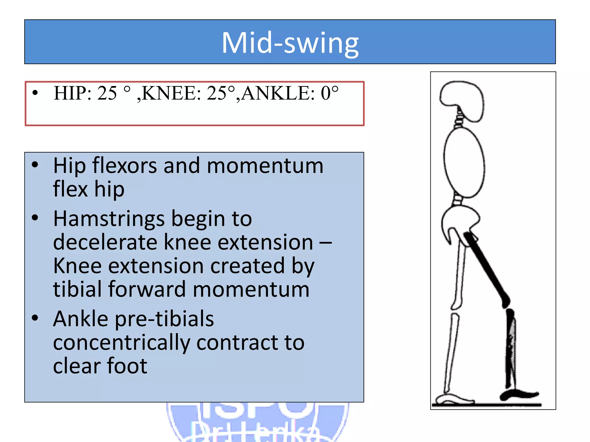 Kinetics and Kinematics Paramters in Gait | PDF