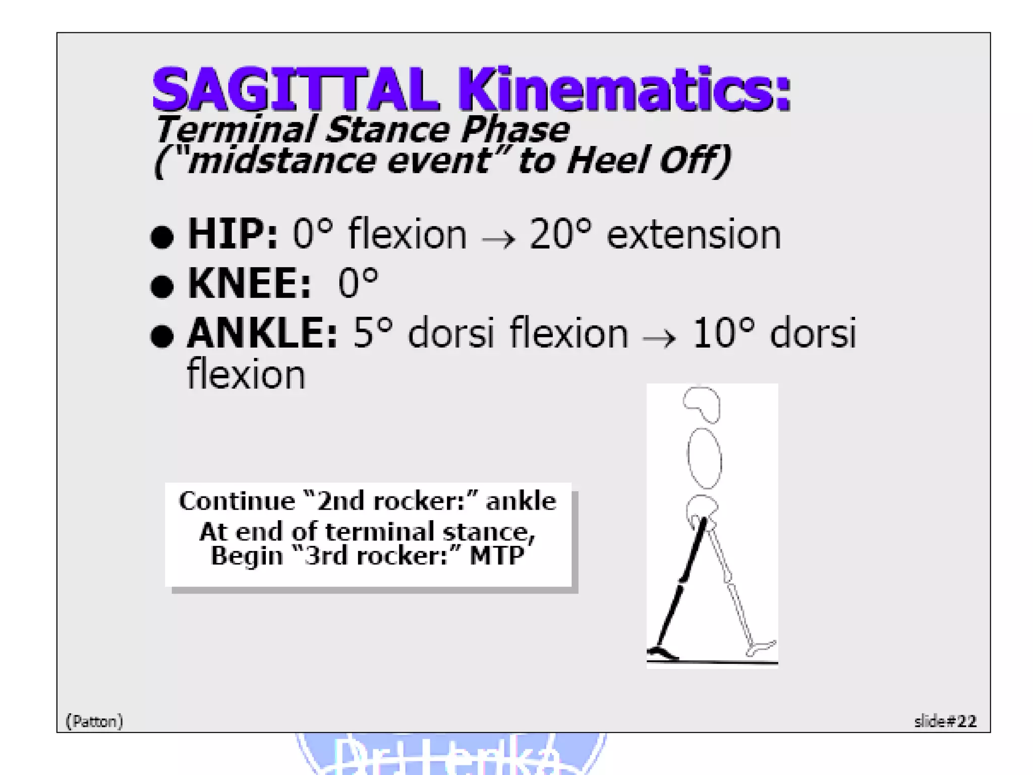 Kinetics and Kinematics Paramters in Gait | PDF