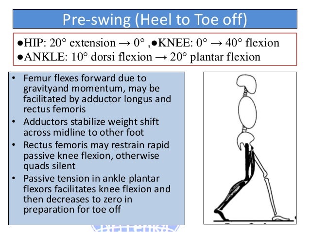 Kinetics And Kinematics Paramters In Gait