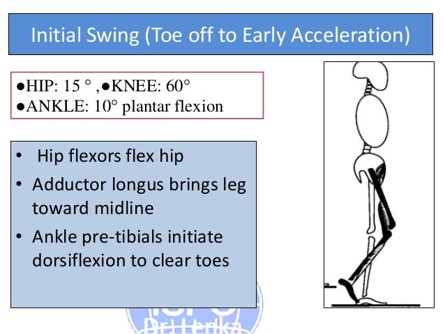 Kinetics And Kinematics Paramters In Gait