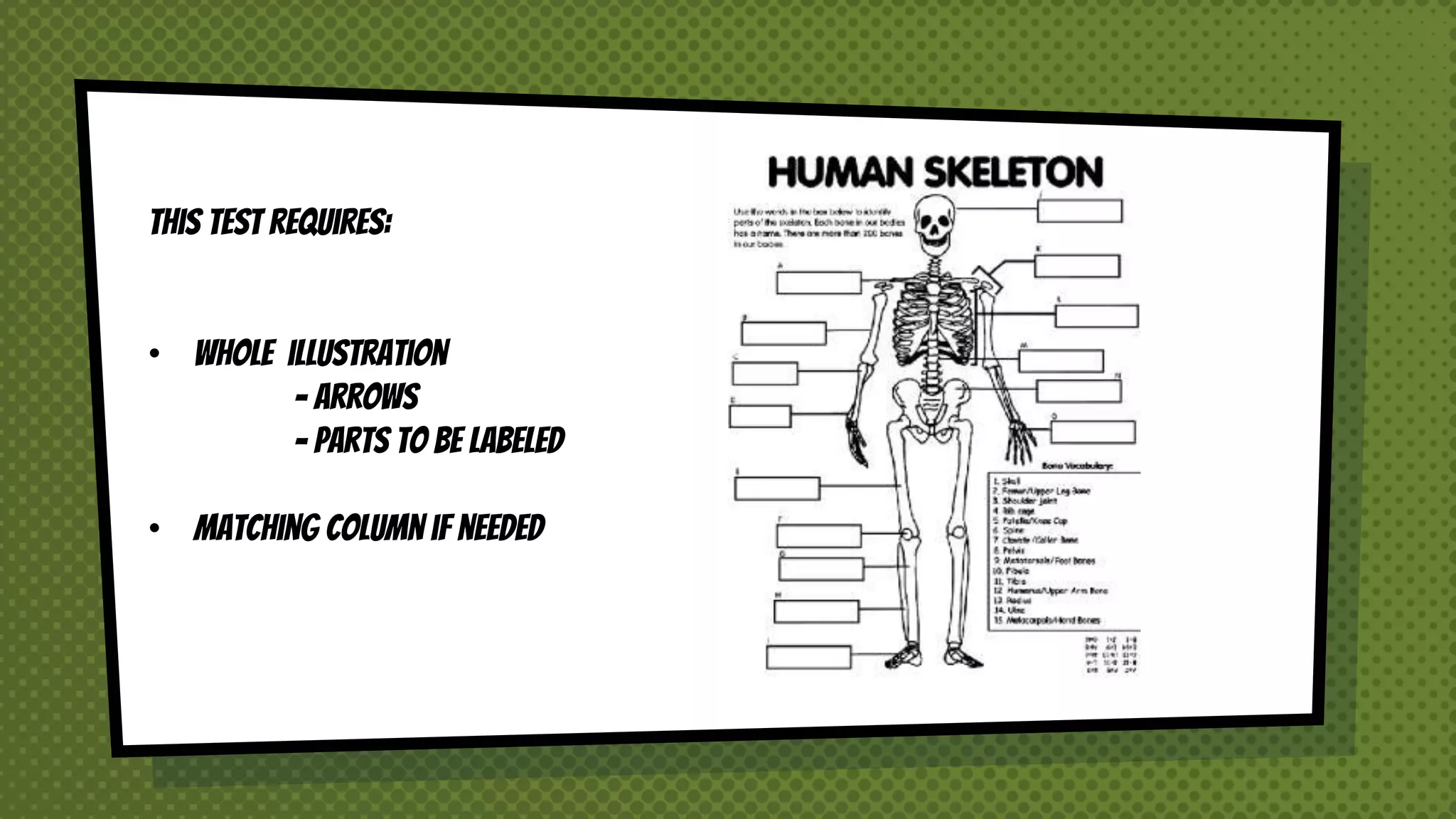 This test requires:
• whole illustration
- Arrows
- parts to be labeled
• Matching column if needed
 