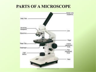 Ana 40X 195 Achromatic Microscope Objective Lens Laboratory Biological  Microscope Parts