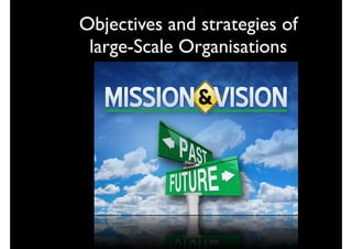 Objectives and strategies of
large-Scale Organisations

 