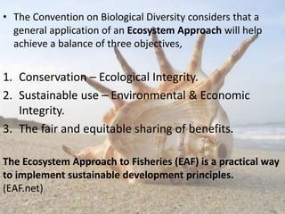 OBJECTIVES OF FISHERIES MANAGEMENT 