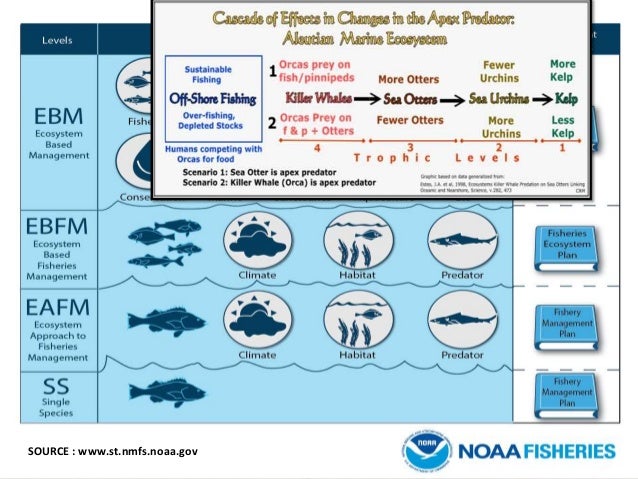 OBJECTIVES OF FISHERIES MANAGEMENT