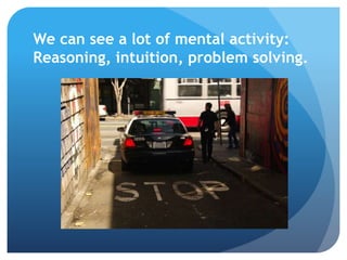 Objectivity in Police Reports | PPTX | Law