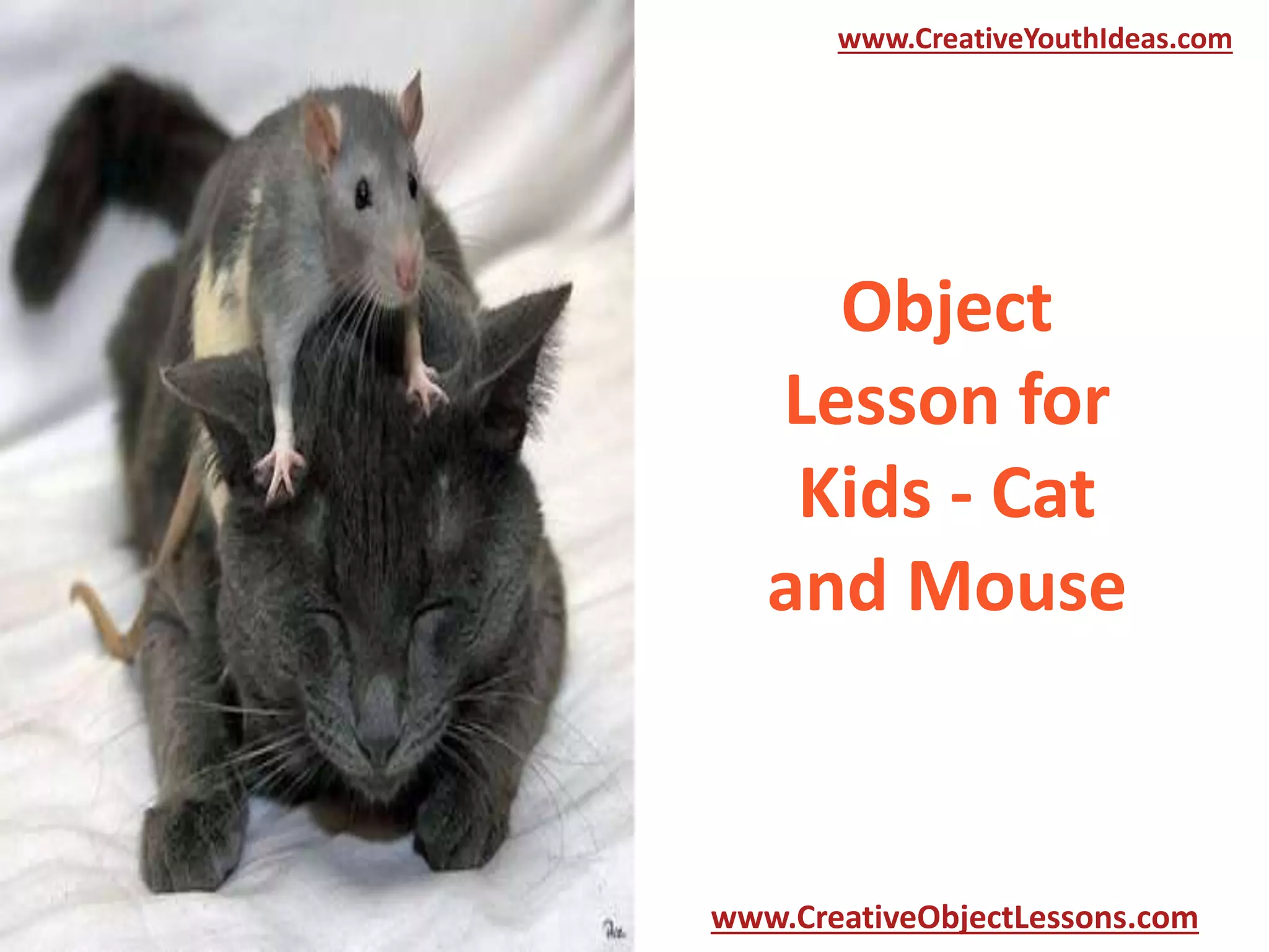 www.CreativeYouthIdeas.com

Object
Lesson for
Kids - Cat
and Mouse

www.CreativeObjectLessons.com

 