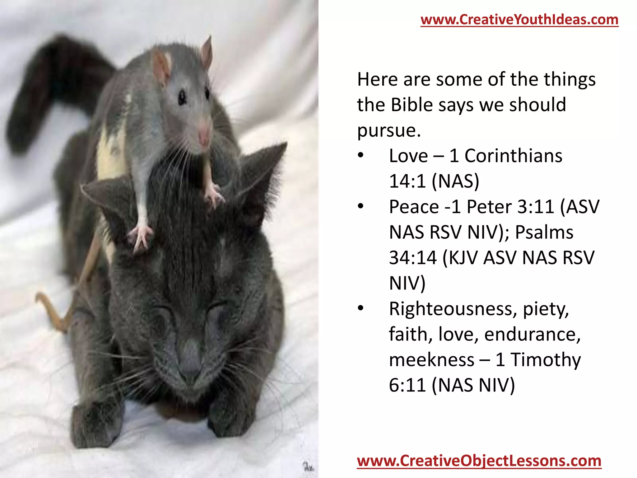 www.CreativeYouthIdeas.com

Here are some of the things
the Bible says we should
pursue.
• Love – 1 Corinthians
14:1 (NAS)
• Peace -1 Peter 3:11 (ASV
NAS RSV NIV); Psalms
34:14 (KJV ASV NAS RSV
NIV)
• Righteousness, piety,
faith, love, endurance,
meekness – 1 Timothy
6:11 (NAS NIV)

www.CreativeObjectLessons.com

 