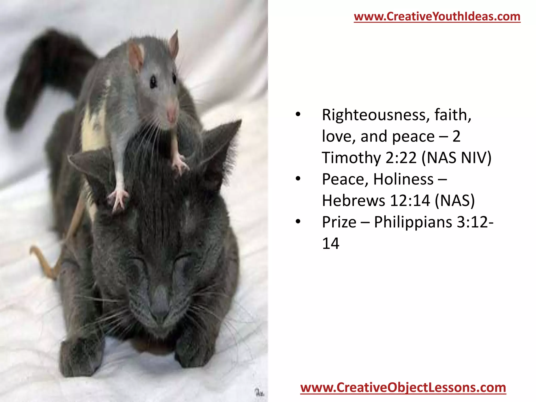 www.CreativeYouthIdeas.com

•
•
•

Righteousness, faith,
love, and peace – 2
Timothy 2:22 (NAS NIV)
Peace, Holiness –
Hebrews 12:14 (NAS)
Prize – Philippians 3:1214

www.CreativeObjectLessons.com

 