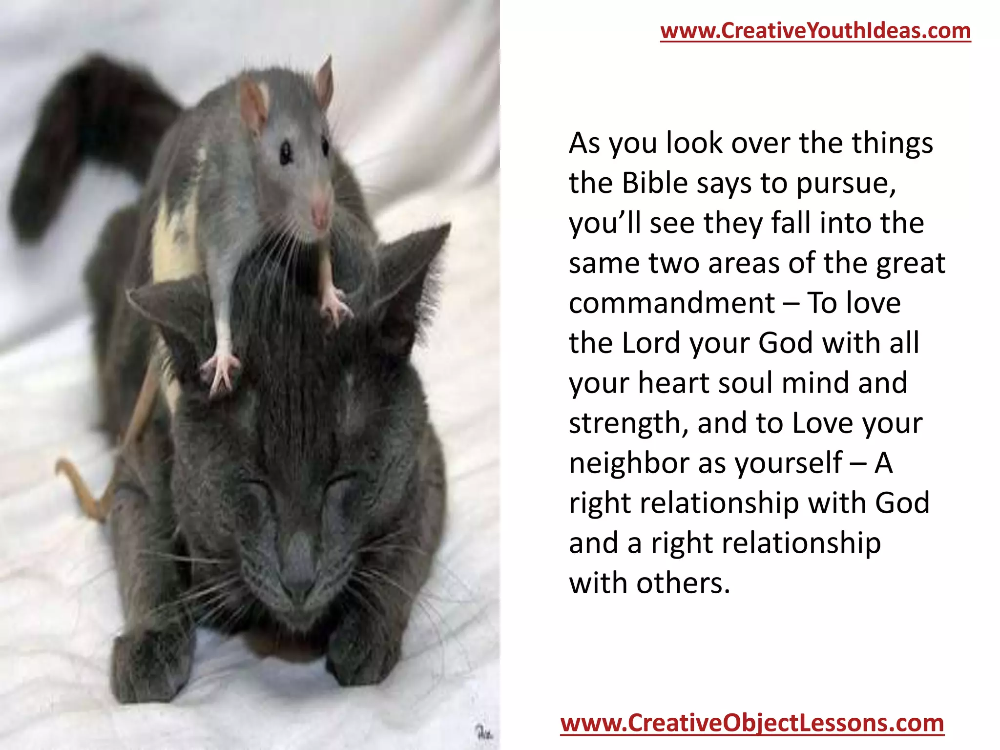 www.CreativeYouthIdeas.com

As you look over the things
the Bible says to pursue,
you’ll see they fall into the
same two areas of the great
commandment – To love
the Lord your God with all
your heart soul mind and
strength, and to Love your
neighbor as yourself – A
right relationship with God
and a right relationship
with others.

www.CreativeObjectLessons.com

 