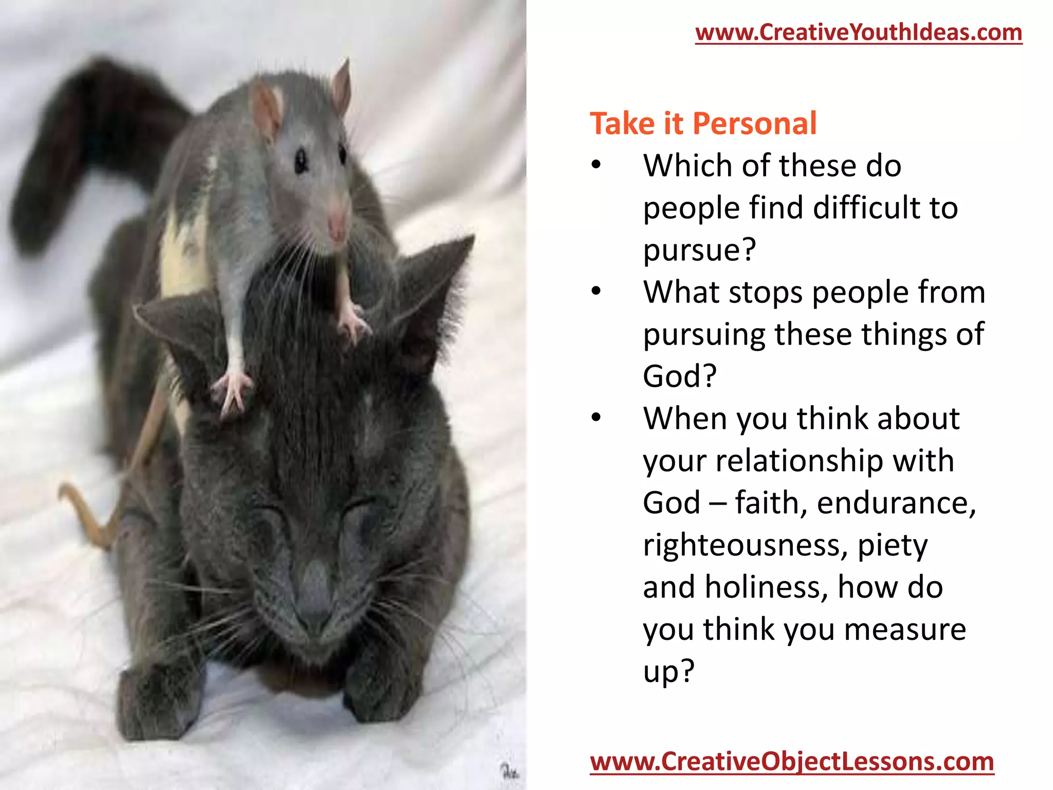 www.CreativeYouthIdeas.com

Take it Personal
• Which of these do
people find difficult to
pursue?
• What stops people from
pursuing these things of
God?
• When you think about
your relationship with
God – faith, endurance,
righteousness, piety
and holiness, how do
you think you measure
up?
www.CreativeObjectLessons.com

 