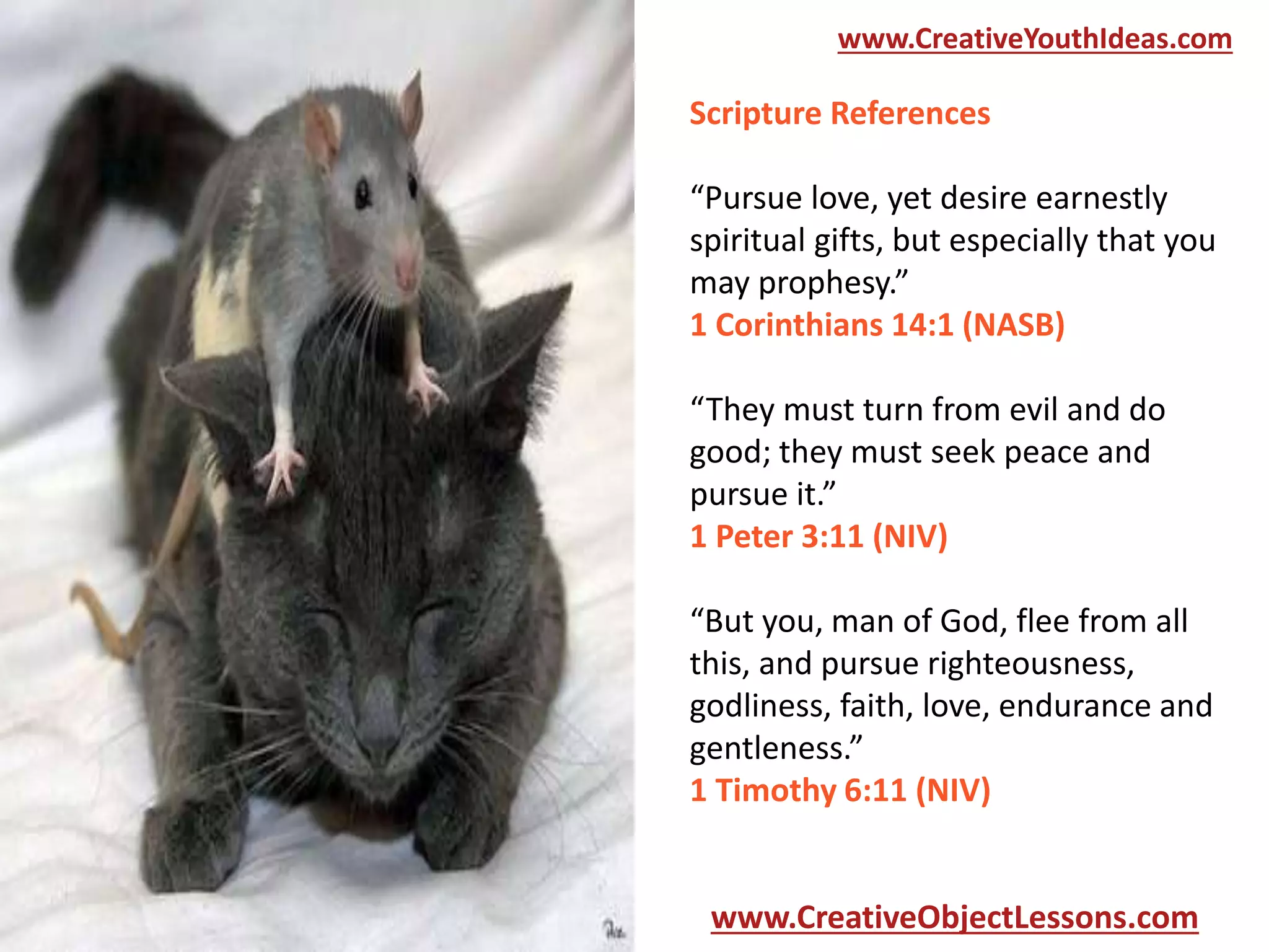 www.CreativeYouthIdeas.com

Scripture References
“Pursue love, yet desire earnestly
spiritual gifts, but especially that you
may prophesy.”
1 Corinthians 14:1 (NASB)
“They must turn from evil and do
good; they must seek peace and
pursue it.”
1 Peter 3:11 (NIV)
“But you, man of God, flee from all
this, and pursue righteousness,
godliness, faith, love, endurance and
gentleness.”
1 Timothy 6:11 (NIV)

www.CreativeObjectLessons.com

 