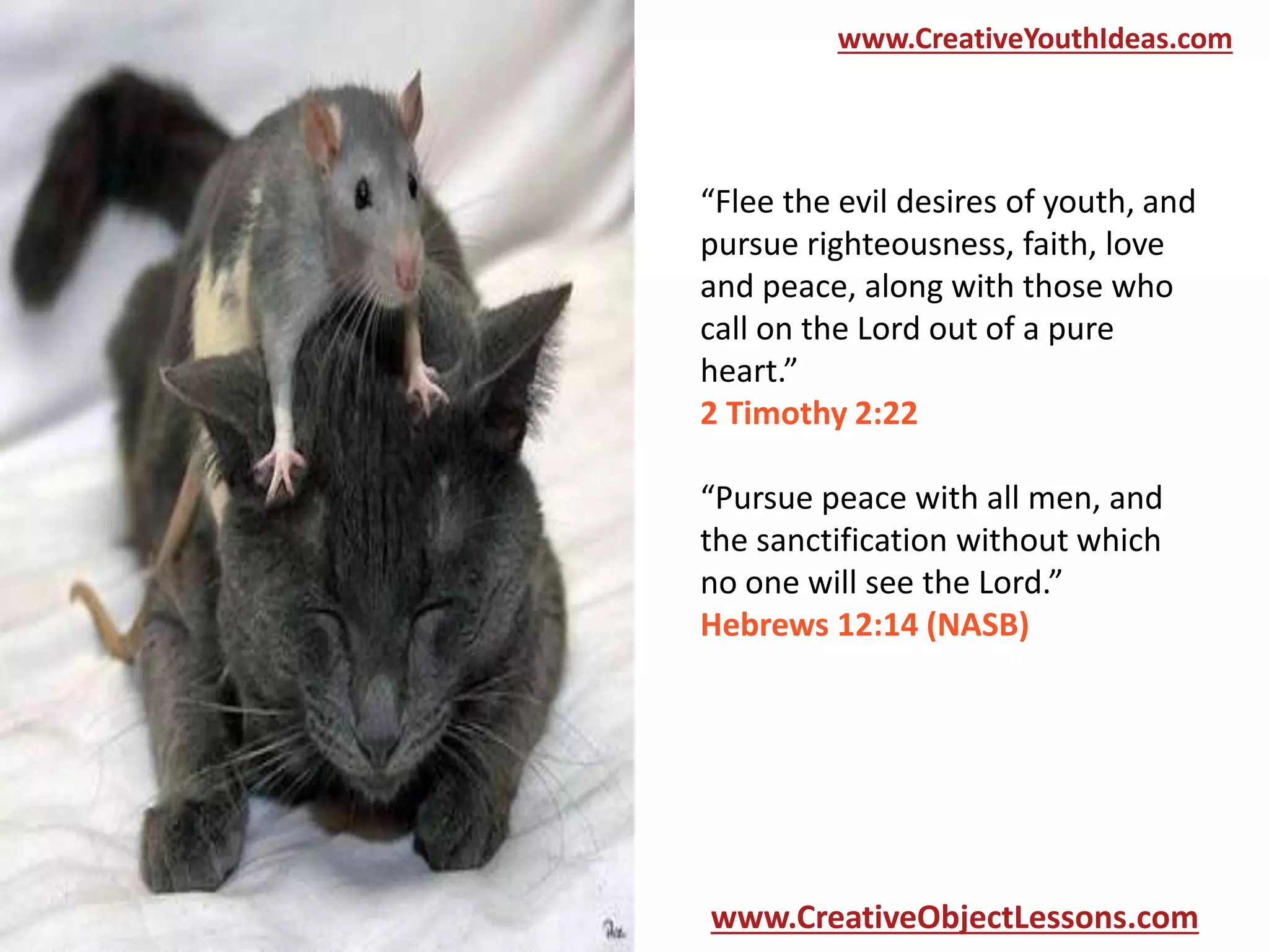 www.CreativeYouthIdeas.com

“Flee the evil desires of youth, and
pursue righteousness, faith, love
and peace, along with those who
call on the Lord out of a pure
heart.”
2 Timothy 2:22
“Pursue peace with all men, and
the sanctification without which
no one will see the Lord.”
Hebrews 12:14 (NASB)

www.CreativeObjectLessons.com

 