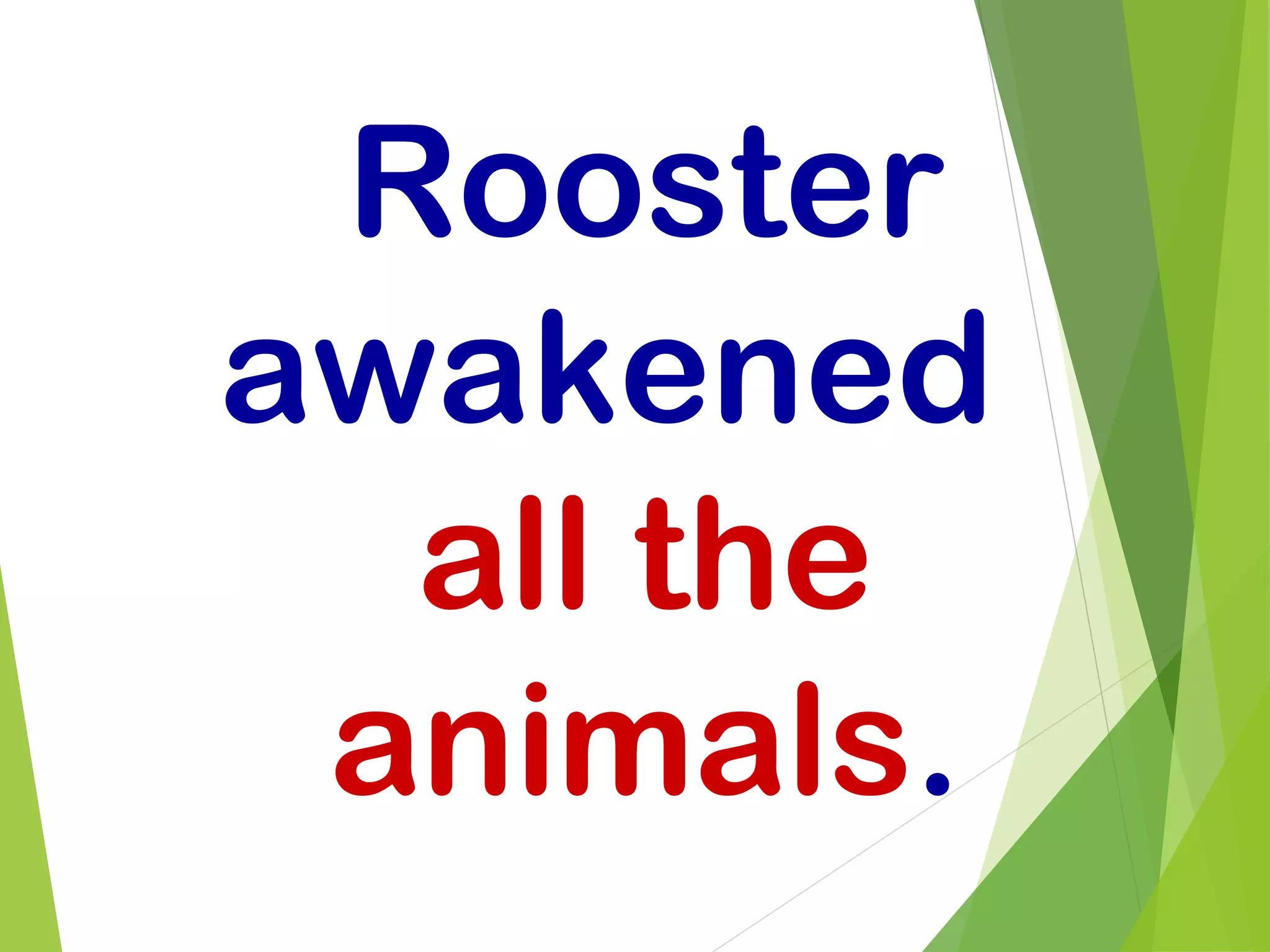 Rooster
awakened
all the
animals.
 