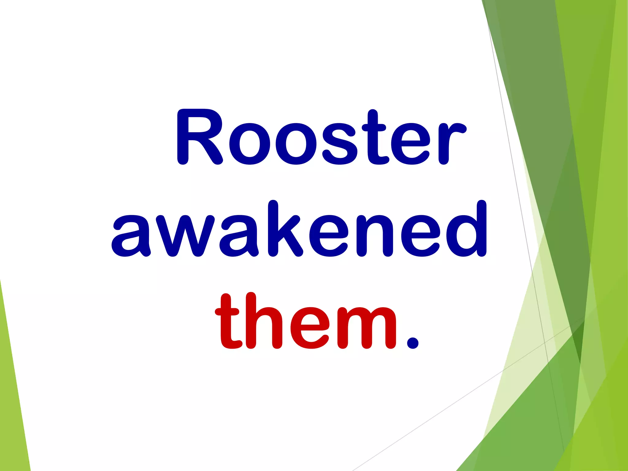 Rooster
awakened
them.
 