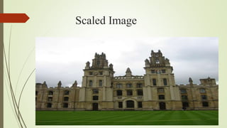 Scaled Image
 