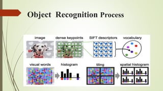 Object Recognition Process
 