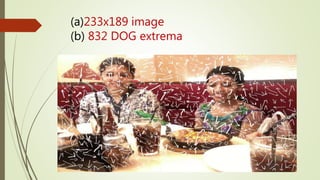 (a)233x189 image
(b) 832 DOG extrema
 