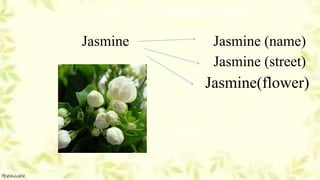 Jasmine Jasmine (name)
Jasmine (street)
Jasmine(flower)
 