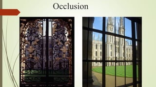 Occlusion
 