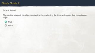Study Guide 2
True or False?
The earliest stage of visual processing involves detecting the lines and curves that comprise an
object.
True
False
 