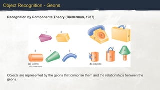 Object Recognition - Geons
Recognition by Components Theory (Biederman, 1987)
Objects are represented by the geons that comprise them and the relationships between the
geons.
 