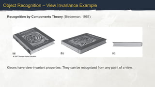 Recognition by Components Theory (Biederman, 1987)
Object Recognition – View Invariance Example
Geons have view-invariant properties: They can be recognized from any point of a view.
 