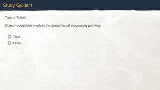 Study Guide 1
True or False?
Object recognition involves the dorsal visual processing pathway.
True
False
 