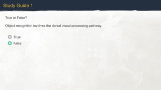 Study Guide 1
True or False?
Object recognition involves the dorsal visual processing pathway.
True
False
 