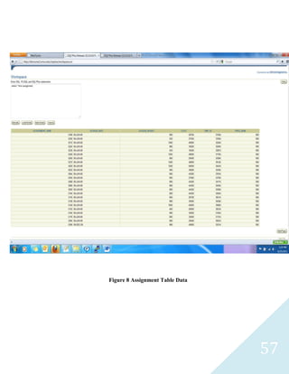 Figure 8 Assignment Table Data




                                 57
 