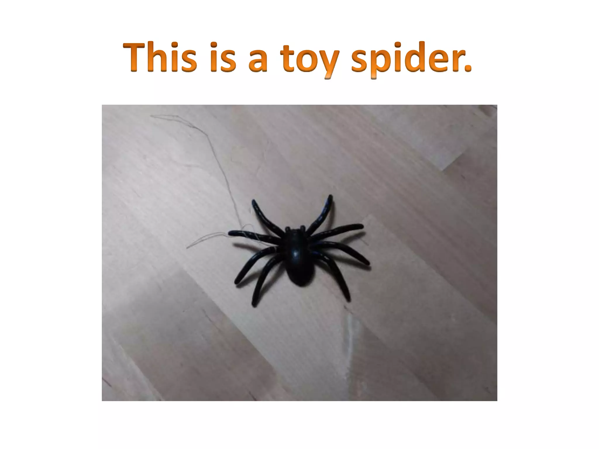 What's in your school bag?  Objects