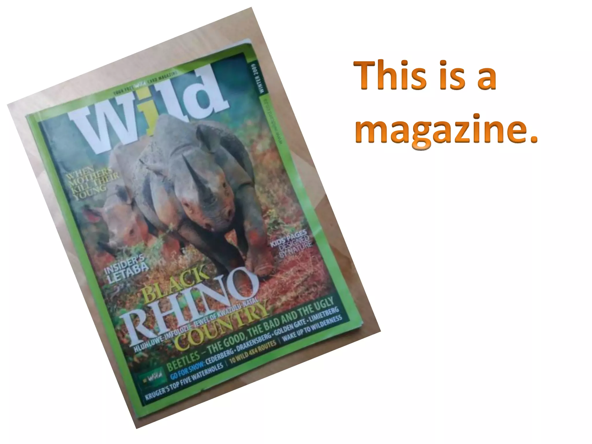 What's in your school bag?  Objects