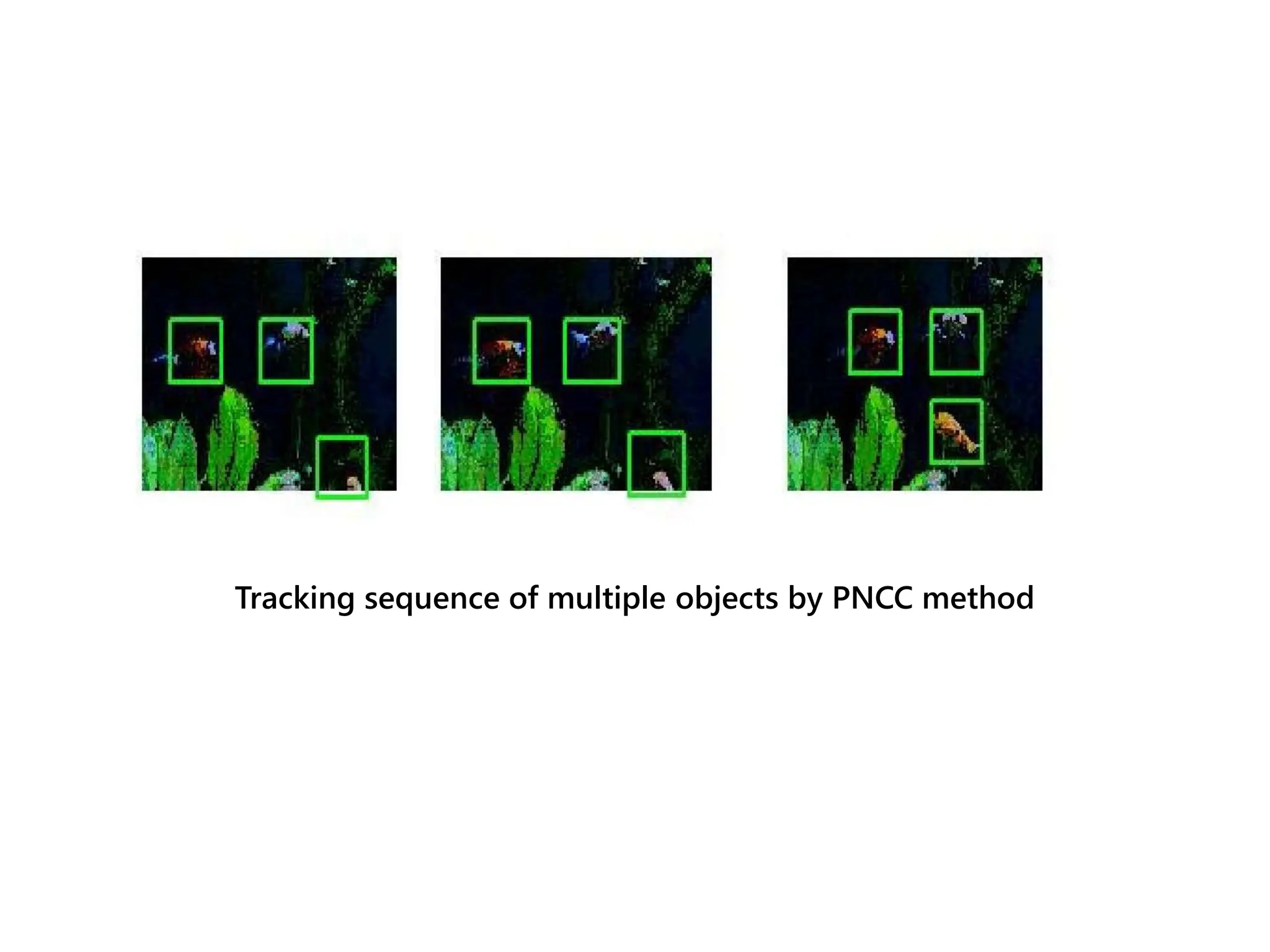Tracking sequence of multiple objects by PNCC method
 