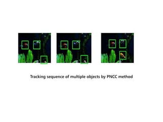 Tracking sequence of multiple objects by PNCC method
 