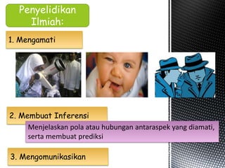 Penyelidikan
Ilmiah:
1. Mengamati
2. Membuat Inferensi
Menjelaskan pola atau hubungan antaraspek yang diamati,
serta membuat prediksi
3. Mengomunikasikan
 